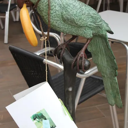 Апартаменты Trompeta Azul