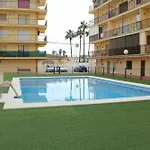 Trompeta Azul Dénia